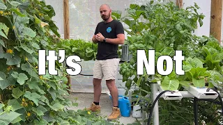 Is Hydroponics, Really... Dirt Cheap!?