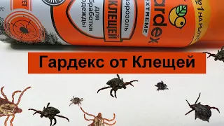 Gardex от Клещей: Проверил Оранжевый Гардекс Экстрим на клещах