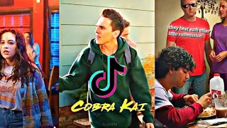 Cobra Kai TikTok compilation (not my videos )