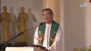 Don't Miss Your Chance -  Homily  By  Fr Jerry Orbos SVD - July 14 2020