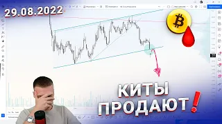 #Биткоин разбор! 🚨 Киты продают, хомяки покупают! Факты! Готовимся к падению!!!