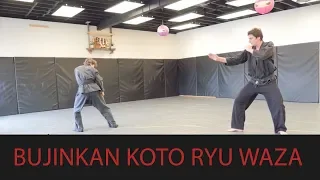 Koto Ryu Waza - 4th Dan - Bujinkan at Pathways Dojo