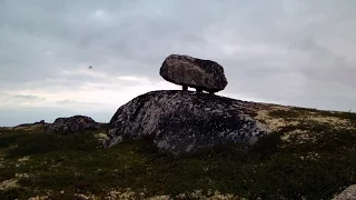 В тундре Кольского