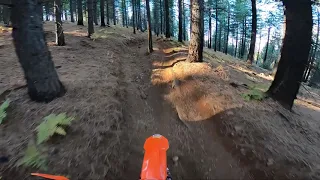 Penny Pines Trail 8 (Shortcut OHV Trail) - November 2020