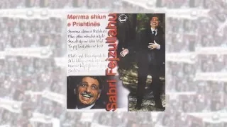 Sabri Fejzullahu - Merrma shiun e Prishtines