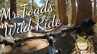 Mountain biking Mr.Toads Wild Ride in South Lake Tahoe, Ca.