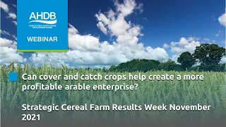 Strategic Cereal Farm Results Week Catch and cover crops seminar