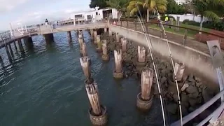 So There Is Another Jetty In Cairns Town For Fishing!! #fishing
