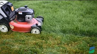 7 Lawn Mowing Tips | When to Mow | Ideal Mowing Height | When to Mulch | Lawn Mower Winterization