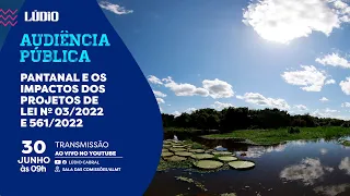 AUDIÊNCIA PÚBLICA: OS IMPACTOS DO PROJETO QUE AFROUXA PROTEÇÃO DO PANTANAL