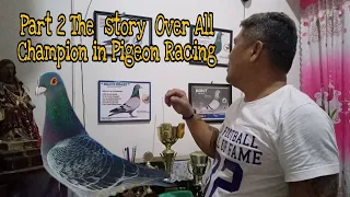 The  story  Over All Champion in Pigeon Racing Part 2