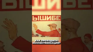 Как проходила коллективизация в СССР