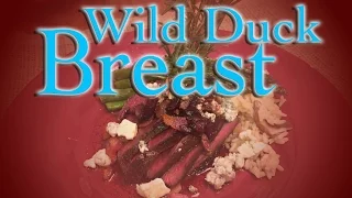 WILD DUCK RECIPE!!! AMAZING!!! DMFD!!! TASTY TUESDAY!!!