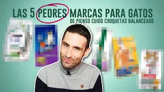 Las 5 PEORES marcas de PIENSO (CUIDO/CROQUETITAS) para GATOS 😾| No son las que esperas 🙀