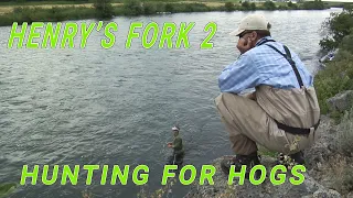 Fly Fishing the Henrys Fork 2- Hunting for Trophy Trout