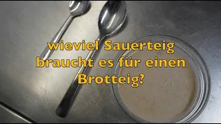 Sauerteig Profiwissen   wie viel Sauerteig braucht es um einen Brotteig zu säuern?