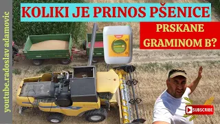 KOLIKI JE PRINOS PŠENICE PRSKANE GRAMINOM B? ; WHAT IS THE YIELD OF WHEAT SPRAYED WITH GRAMINO B?