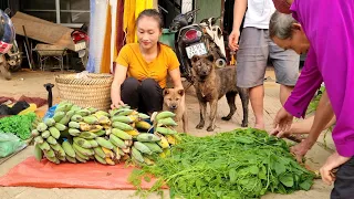 Harvest Jungle Vegetable, Banana goes to the market sell | Ly Thi Tam