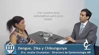 Dengue, Zika y Chikungunya