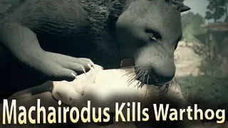 Machairodus Kills Warthog - Ancestors The Humankind Odyssey