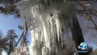 Frozen sprinkler creates amazing ice sculpture in Apple Valley | ABC7