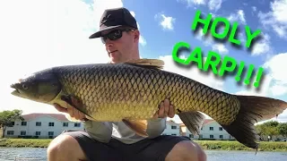 TOPWATER Fishing for BIG Grass Carp: How to Catch Grass Carp