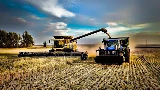 Epic Harvesting Montana Style - Part 2 - Grubb Harvest - Welker Farms Inc