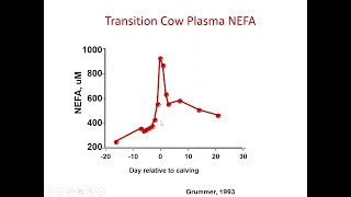 Insulin Resistance in Transition Dairy Cows: Friend or Foe? Dr. Ric Grummer, University of Wisconsin