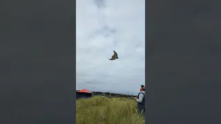 Scratch build RC flying Wing First Day at the Beach.