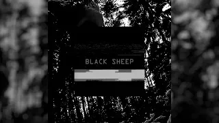 Ckeletov - Black Sheep (Prod.Prophet)
