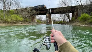 TROUT Fishing with Spinners (Brown, Brook, Rainbow)