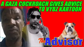 A Gaza cockroach gives advice to Vybz Kartoon