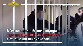 Ирина Волк: В Омске полицейскими задержан подозреваемый в мошенничестве в отношении пенсионеров