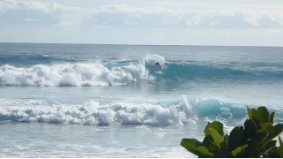 Looking Further - Moondog in the South Pacific, surfing and sailing from Hawaii to French Polynesia