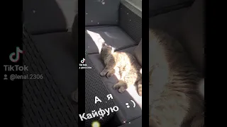 А я Кайфую, я Кайфую:)))#Shorts