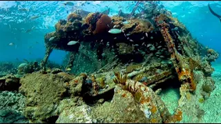 Florida Keys Underwater in 360 Degrees