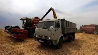 Жара, ветер и дождь... Все прелести уборки урожая! Осталось не много!