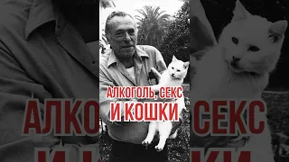 Факты о Буковски | кто такой Буковски? #книги #биография #искусство #кошки #котики #писатель