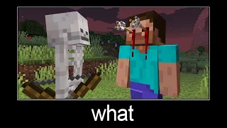 Minecraft wait what meme part 212 (Mad Steve)