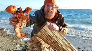 Catch and Cook a Lobster In a Primitive Fish Trap (87 days episode 23)