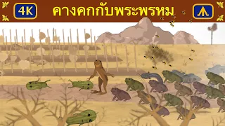 คางคกกับพระพรหม 4K | เครื่องบินนิทาน