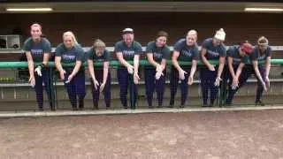 Softball Cheers Instructional Video For Fans