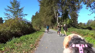 VEDDER RIVER ROTARY TRAIL CHILLIWACK  WITH MOMO