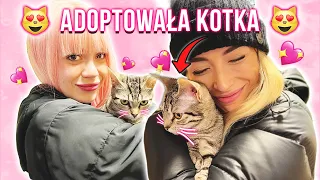 ADOPTOWAŁA KOTKA ZE SCHRONISKA! 🐱💞