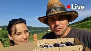 🔴 LIVE: Wir probieren 14 verschiedene PiWi Weine