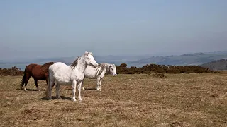 Mike Oldfield Hergest Ridge 1  Part