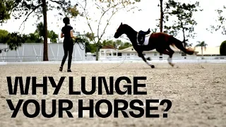 Why lunge your Horse? feat. Ayden Uhlir | Health & Fitness