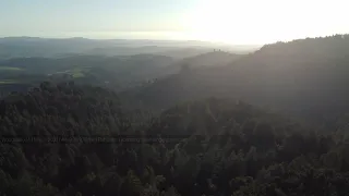 Woodside Redwoods - Silent 4K Drone Footage | March 2021