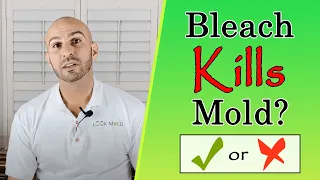 Does Bleach Kill Mold? Watch This Before You Use It...