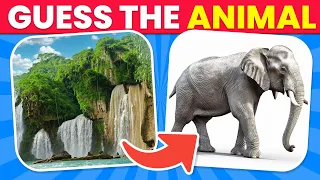 Guess the Hidden Animal by Optical ILLUSION🐘🐵 Observation Skill Test